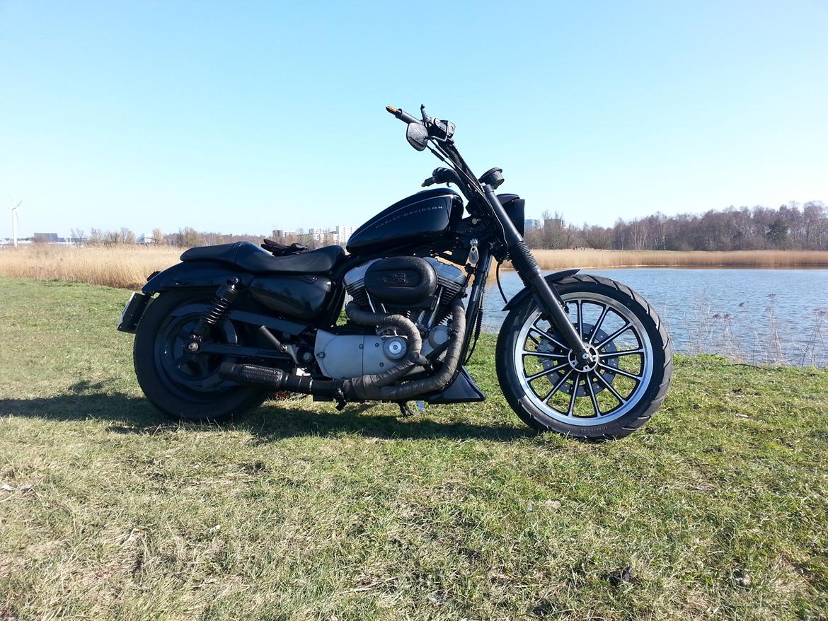Harley Davidson Sportster XL883 - Billeder af mc-er - Uploaded af mikkel j