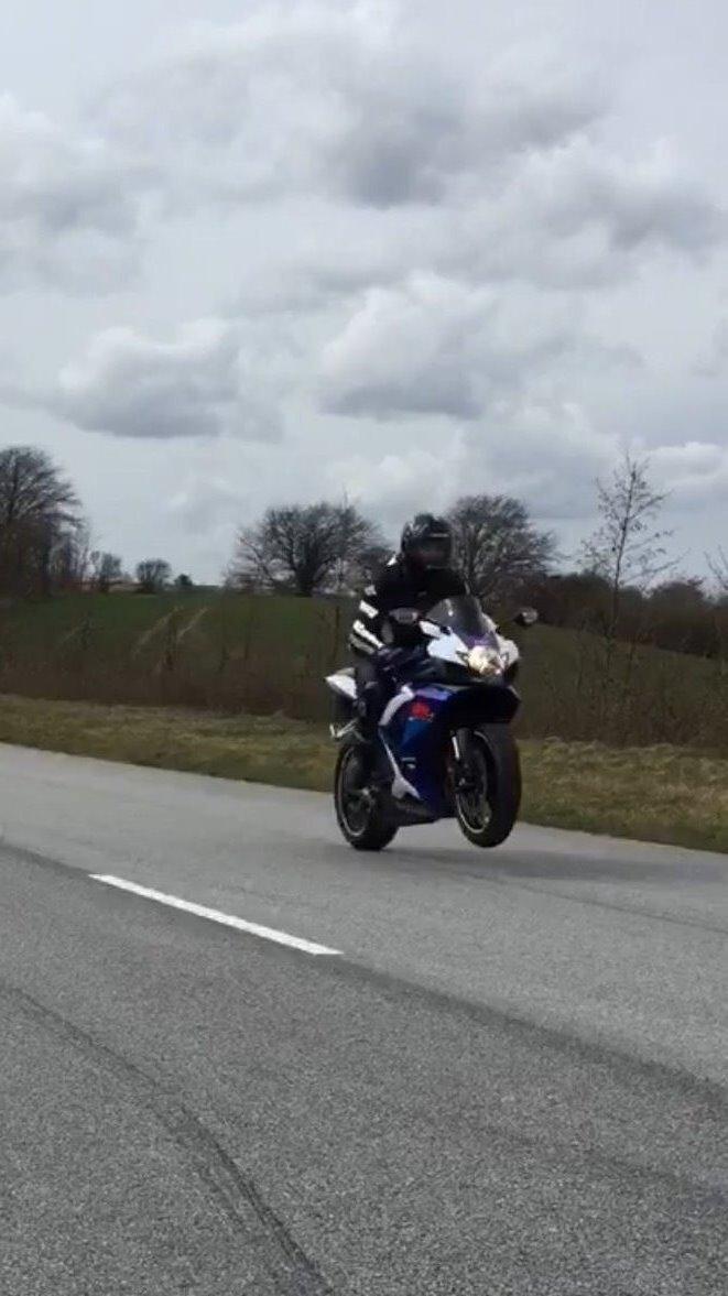 Suzuki Gsx-R billede 12