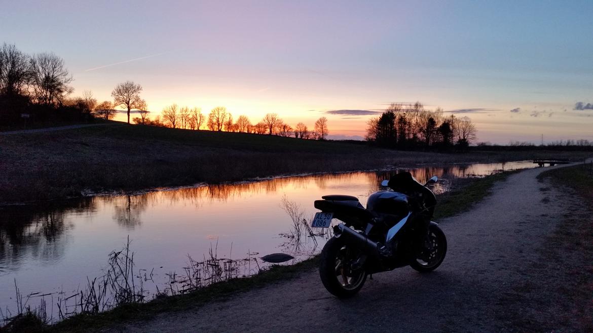 Aprilia RSV 1000R Mille billede 18