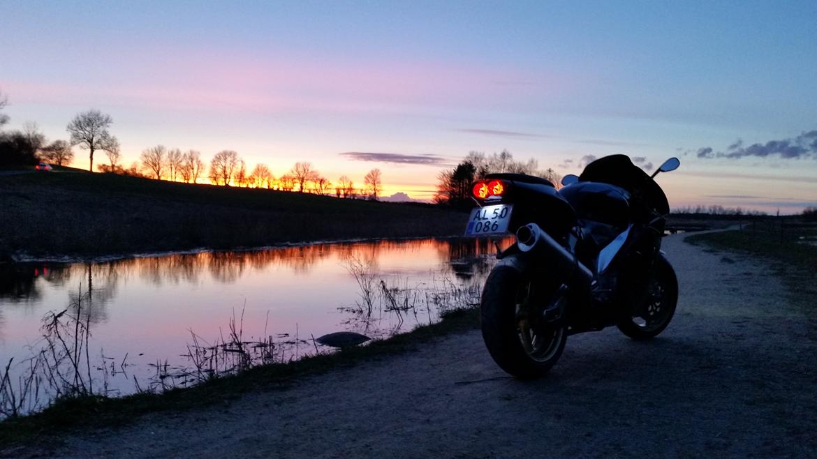 Aprilia RSV 1000R Mille billede 19