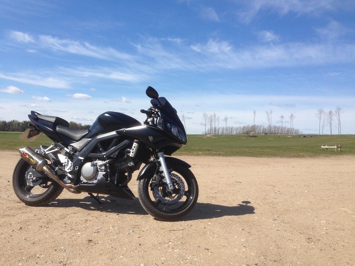 Suzuki SV650 S billede 8