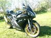 Yamaha FZR 1000 BASTARD