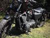 Harley Davidson sportster iron 883