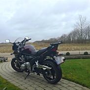 Suzuki GSF 1250 SA