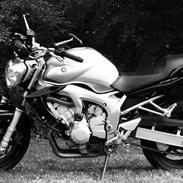 Yamaha FZ6