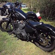 Harley Davidson sportster iron 883