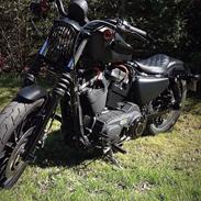 Harley Davidson sportster iron 883