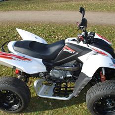 Adly 500