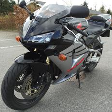 Honda CBR 600 RR