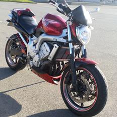 Yamaha FZ6-N Custom