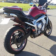 Yamaha FZ6-N Custom