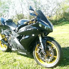 Yamaha FZR 1000 BASTARD