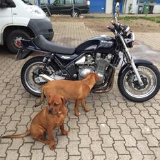 Kawasaki Zr 1100