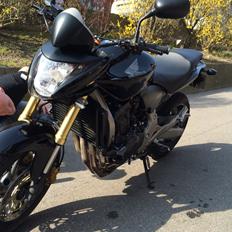 Honda Cb 600 hornet