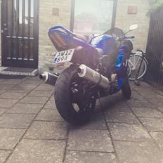 Suzuki Sv1000 s SOLGT