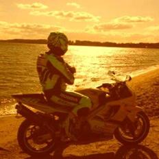 Honda CBR 600 f4I ROSSI