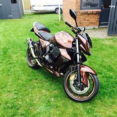 Kawasaki Z750 Coco Cobra 