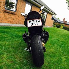 Kawasaki Z750 Coco Cobra 