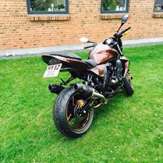 Kawasaki Z750 Coco Cobra 