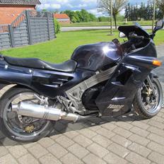 Kawasaki ZX10 Tomcat