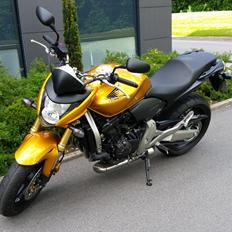 Honda cb 600 f hornet