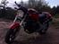 Ducati Monster 600