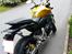 Honda cb 600 f hornet