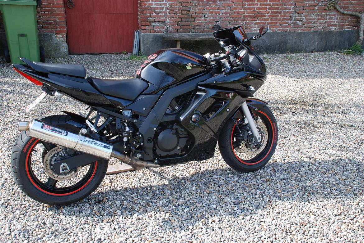 Suzuki SV650 billede 8