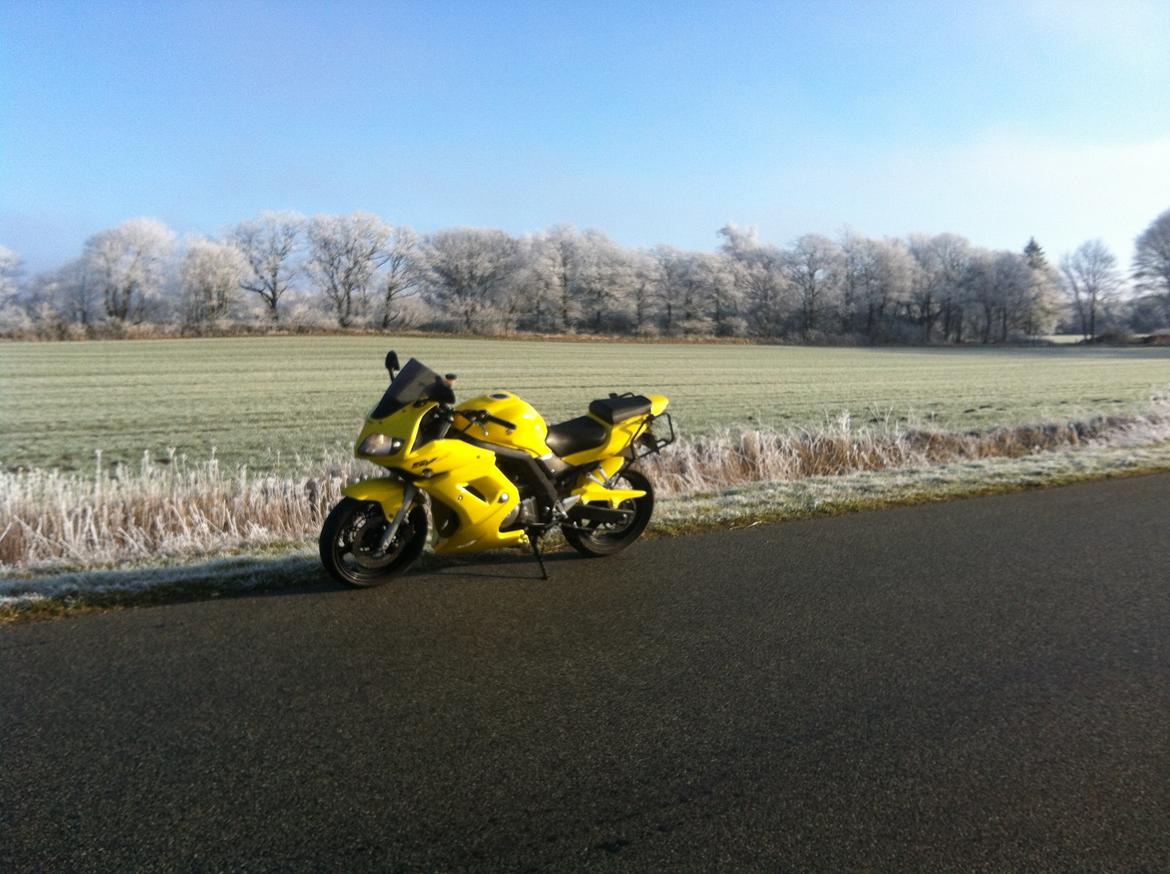 Suzuki SV 650s k5 - En kold dag i januar 2015 - Det værste var isen på indersiden af visiret billede 20