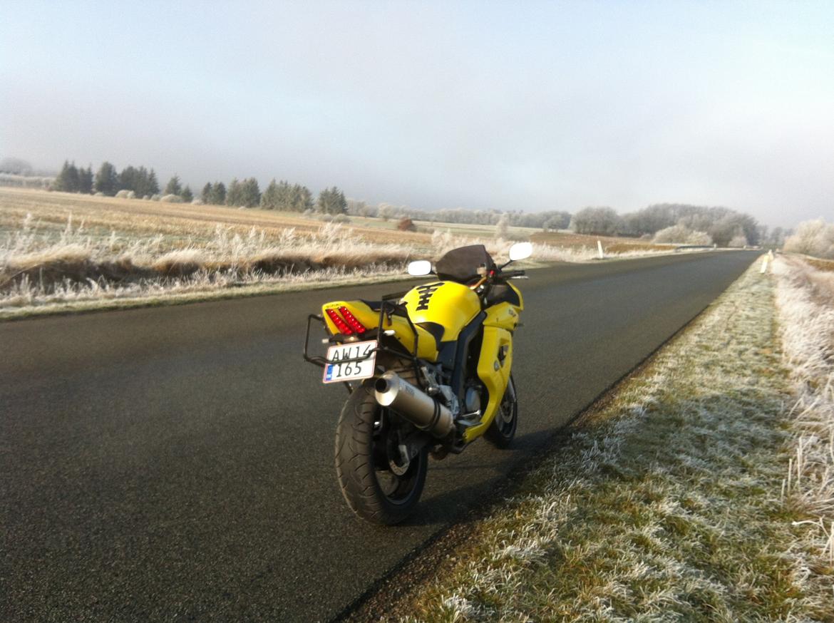 Suzuki SV 650s k5 - En kold dag i januar 2015 - Det værste var isen på indersiden af visiret billede 21