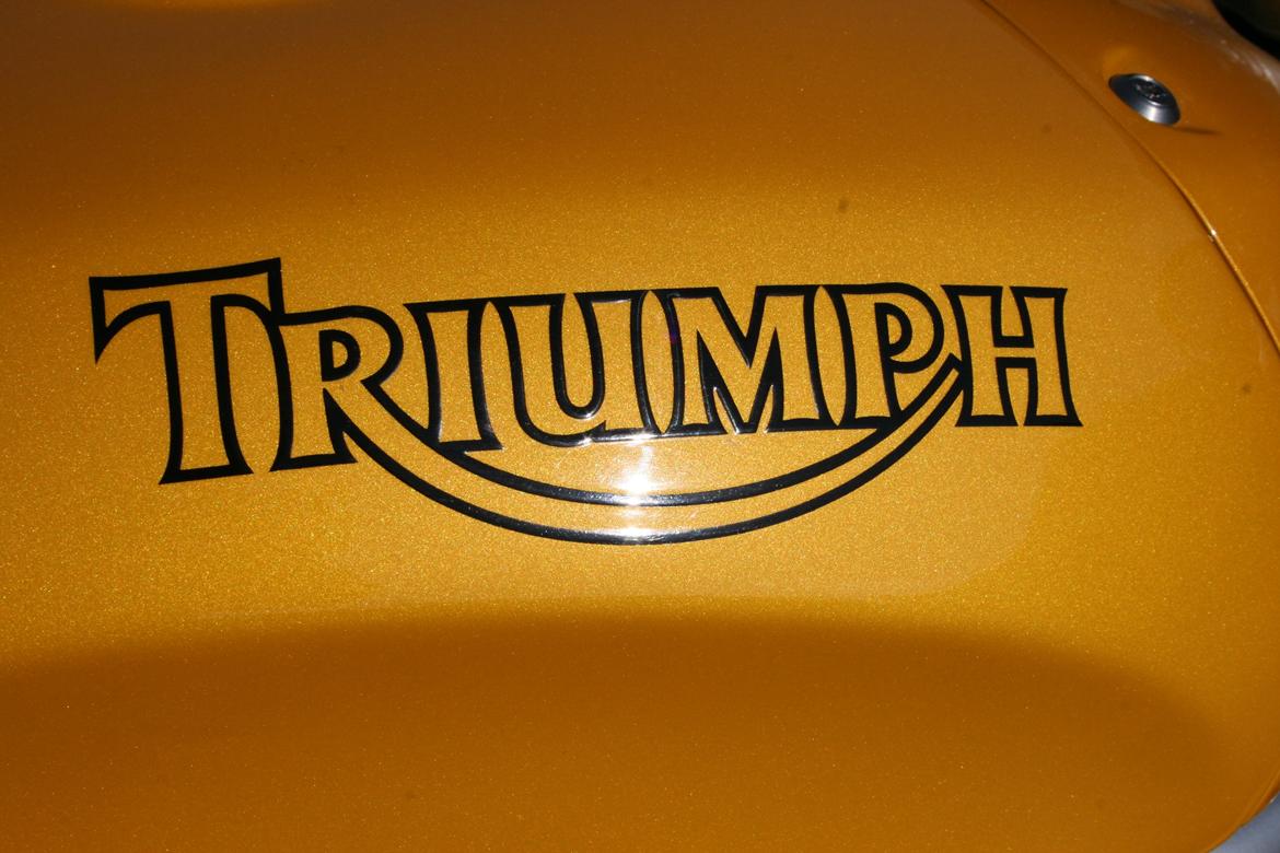 Triumph T595 Daytona (SOLGT) billede 1