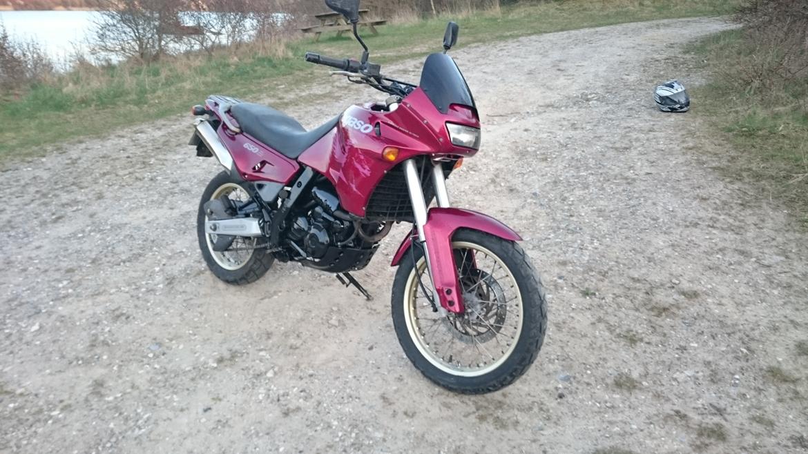 Aprilia pegaso 650 billede 2