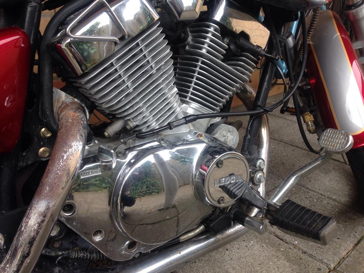 Ledow Borelli billede 3