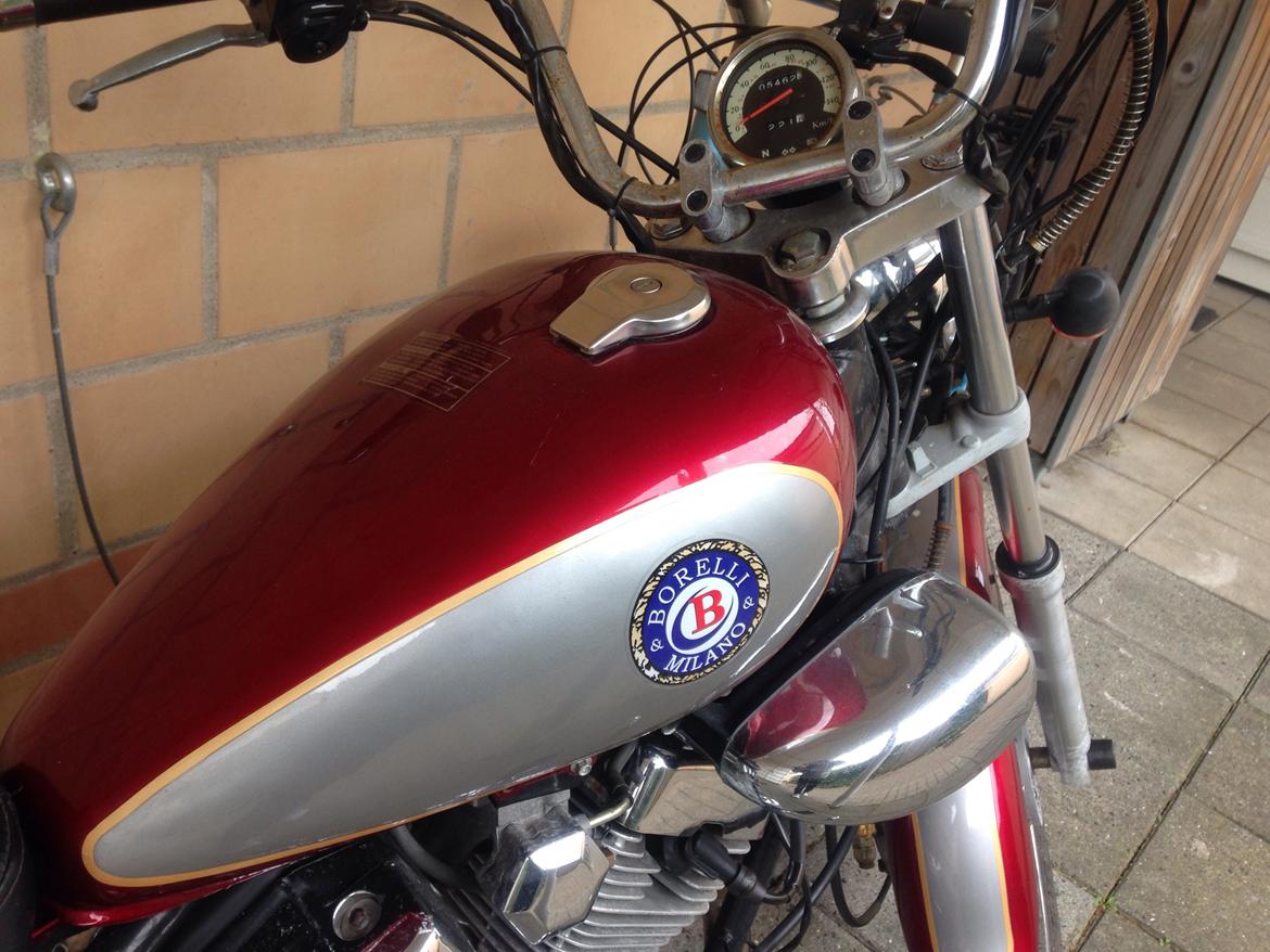 Ledow Borelli billede 4