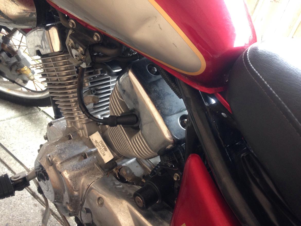 Ledow Borelli billede 5