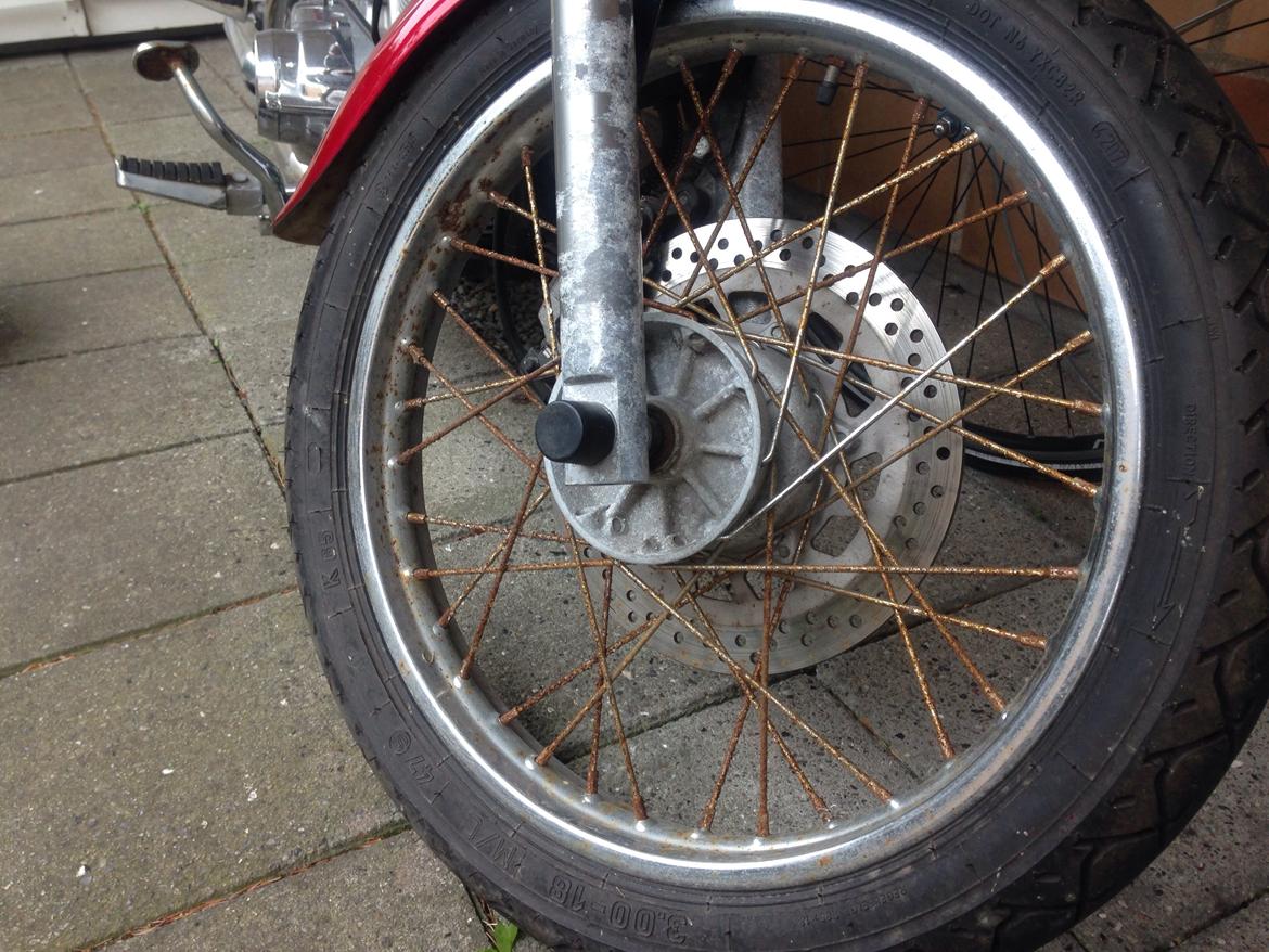 Ledow Borelli billede 8