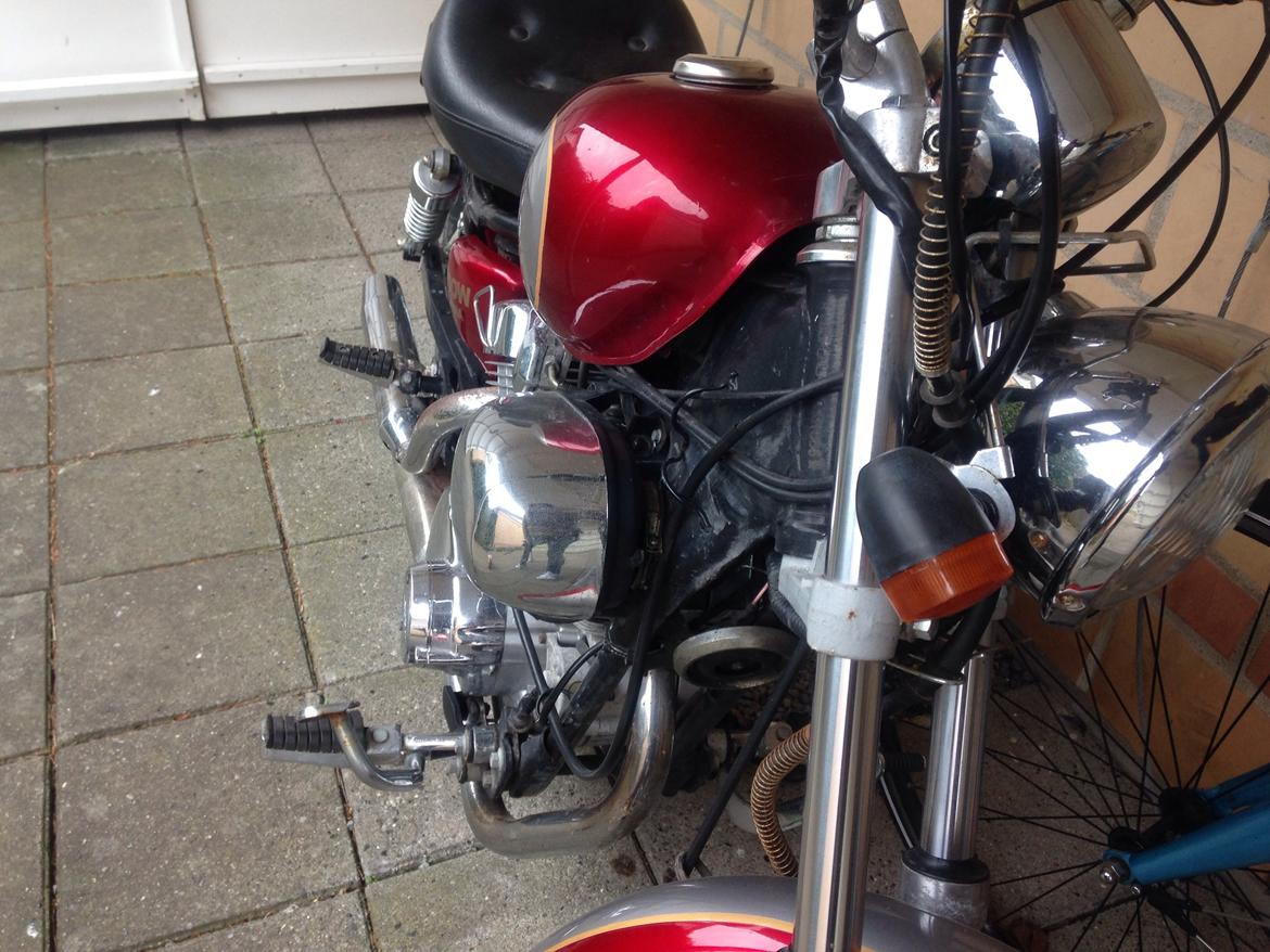 Ledow Borelli billede 9