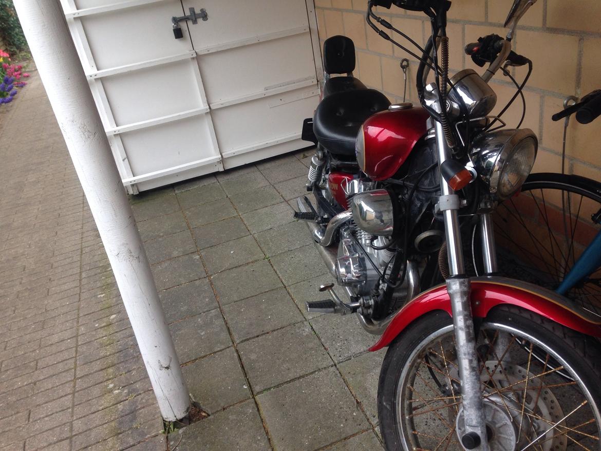 Ledow Borelli billede 10