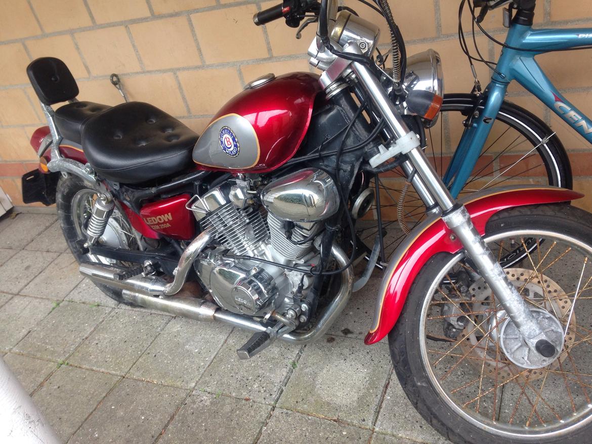 Ledow Borelli billede 11