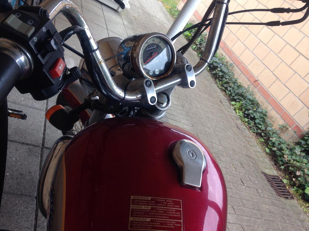 Ledow Borelli billede 6