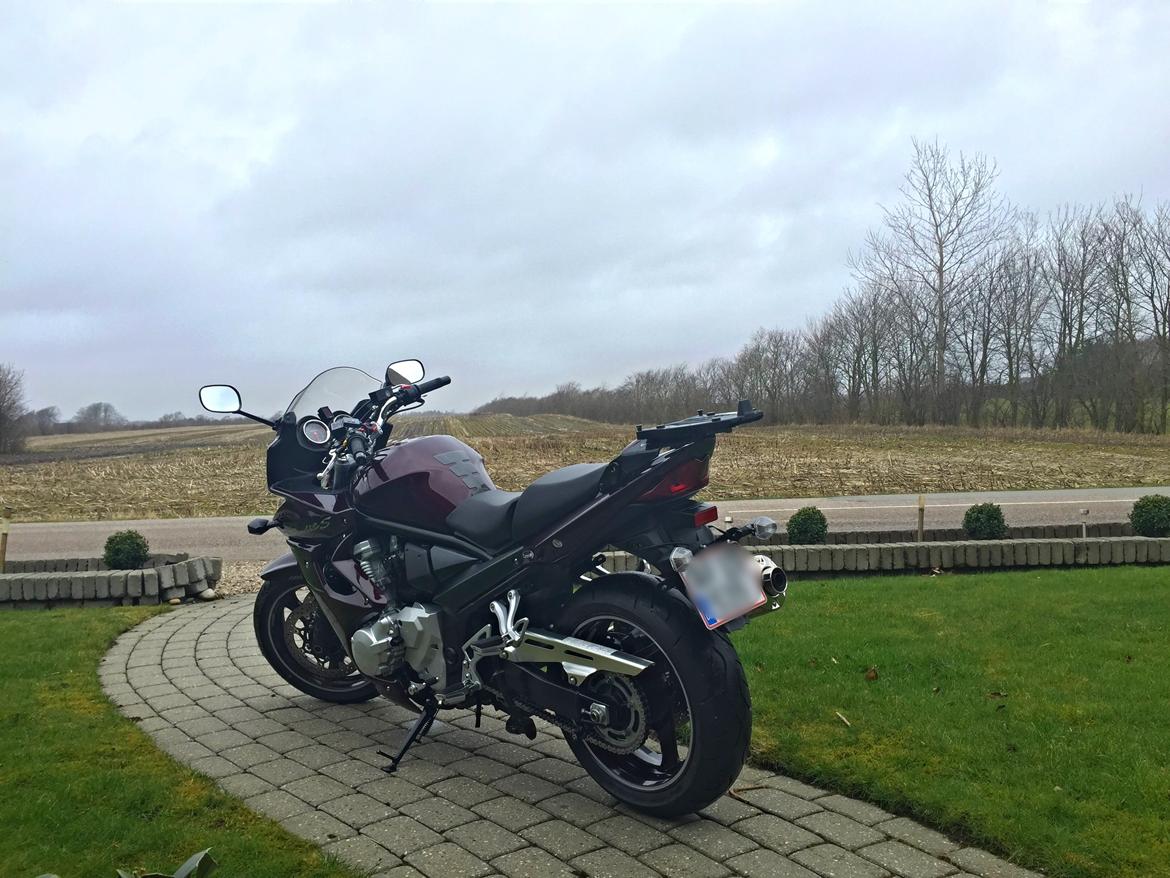 Suzuki GSF 1250 SA billede 3