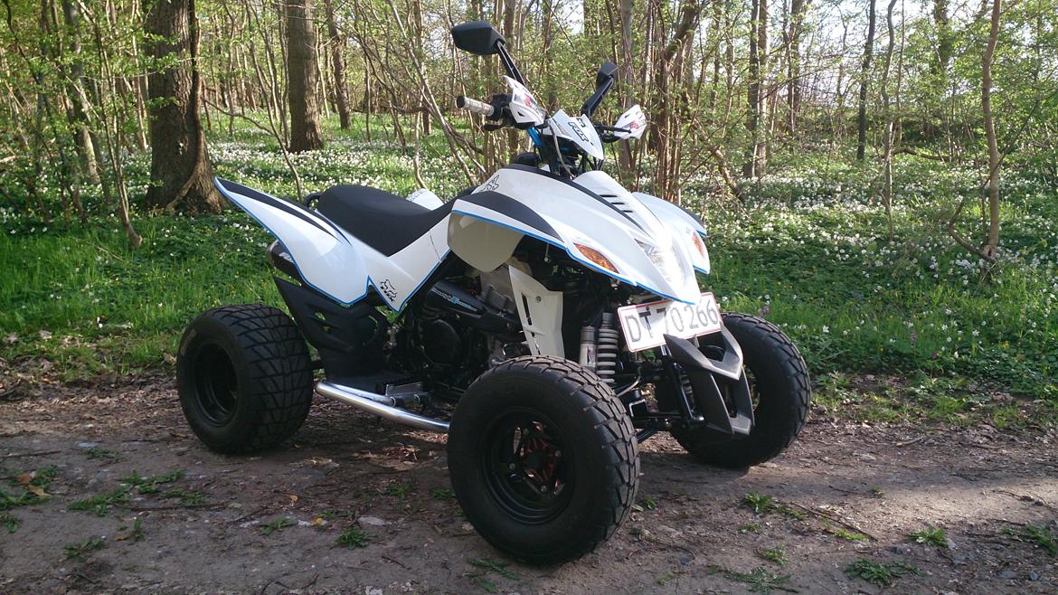 Dinli 901 *SOLGT* billede 4