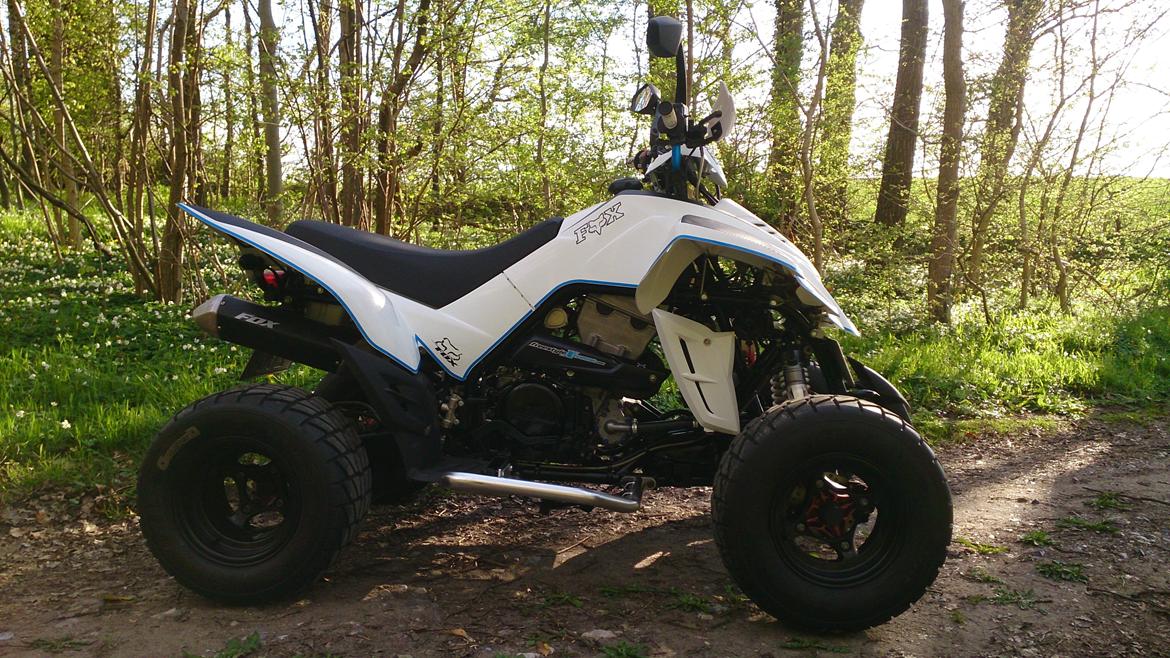 Dinli 901 *SOLGT* billede 5