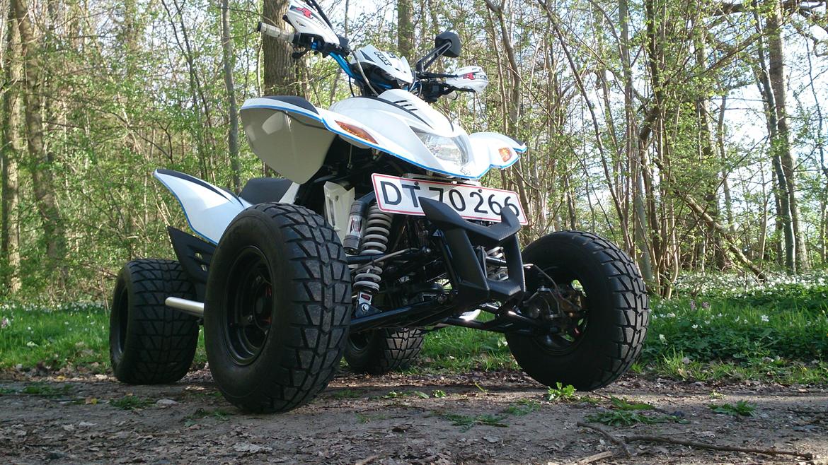 Dinli 901 *SOLGT* billede 17