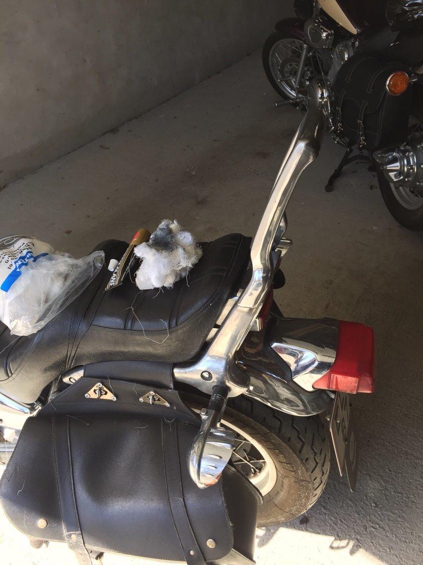 Yamaha XV VIRAGO billede 7