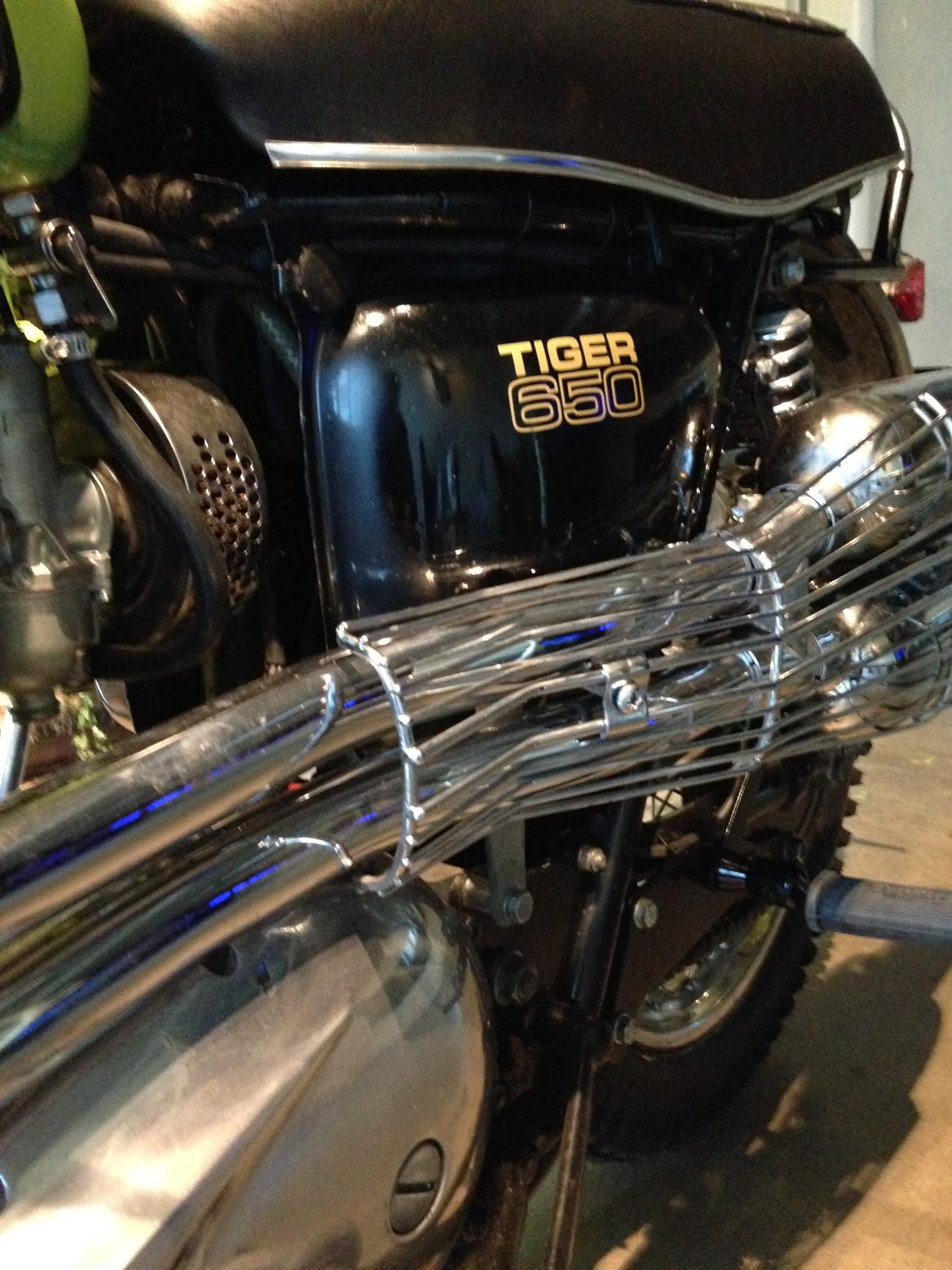 Triumph TR6C - Trophy billede 6