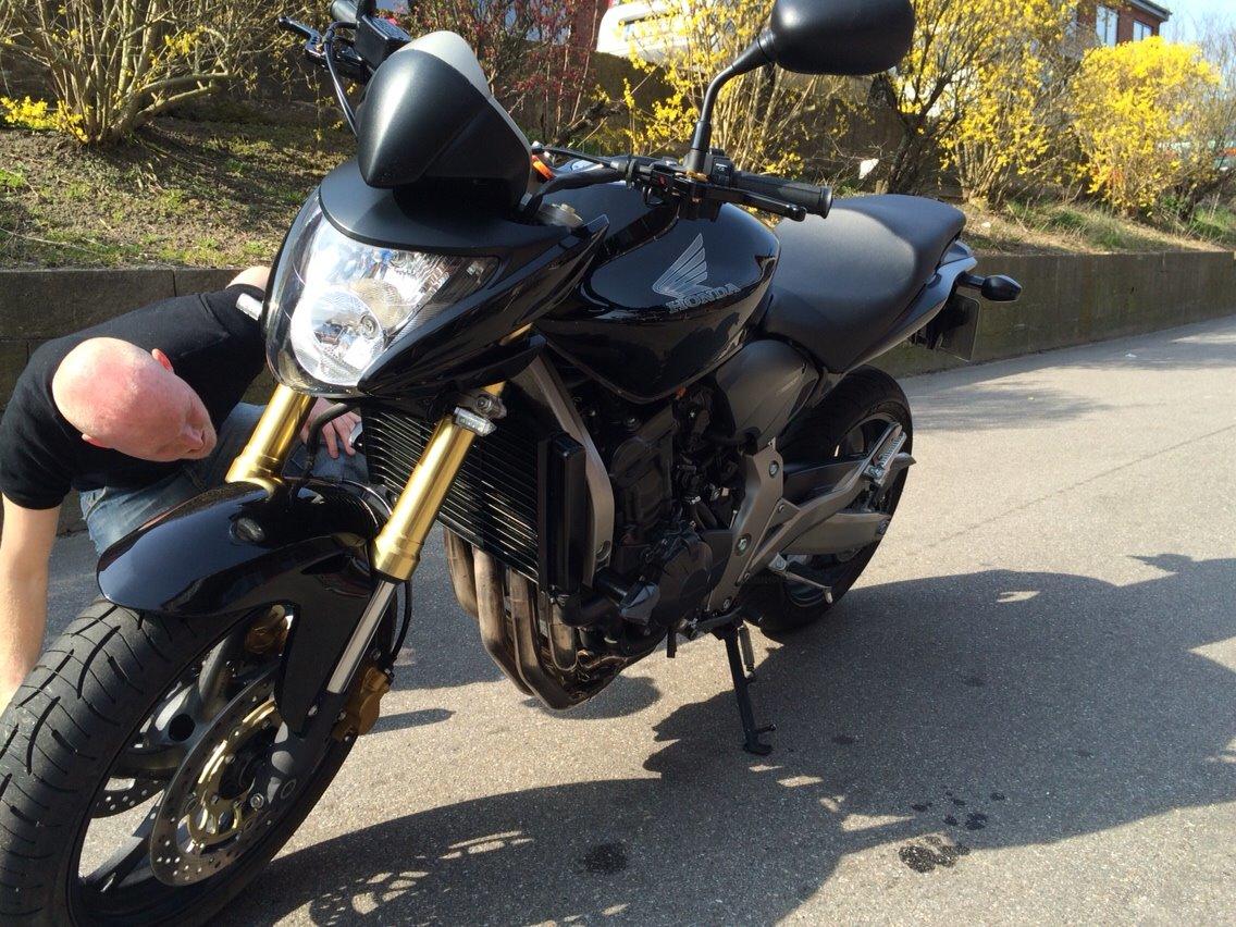 Honda Cb 600 hornet billede 1