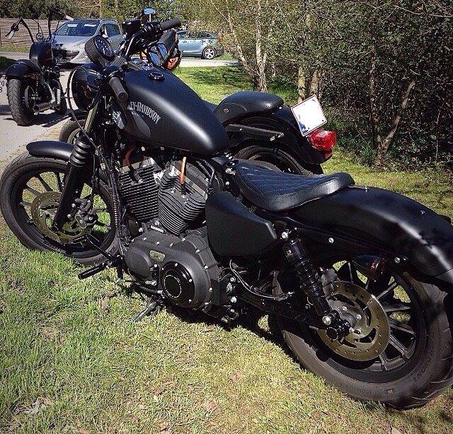 Harley Davidson sportster iron 883 billede 2