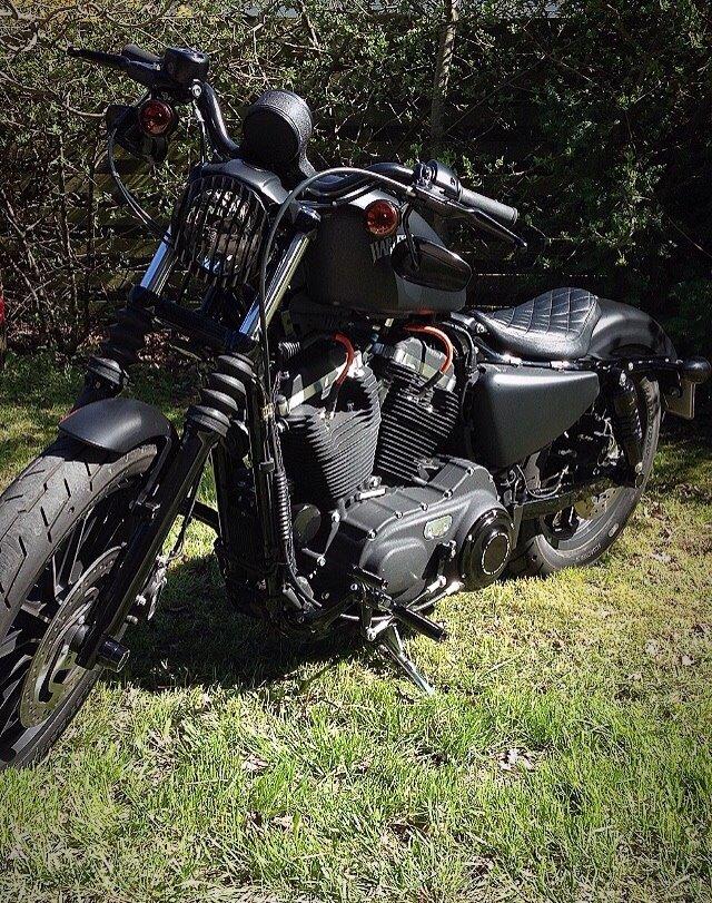 Harley Davidson sportster iron 883 billede 1