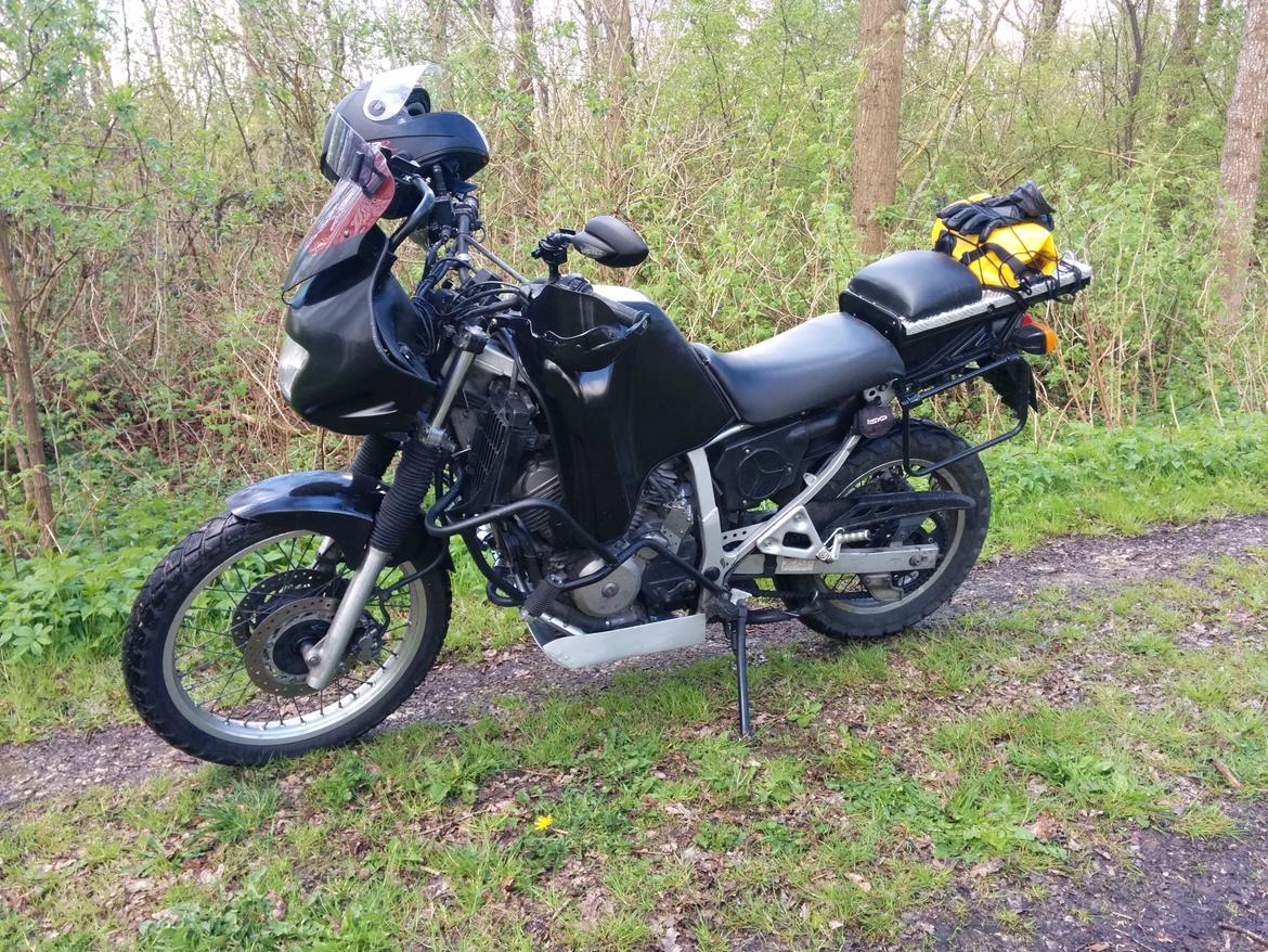 Honda Transalp  billede 14